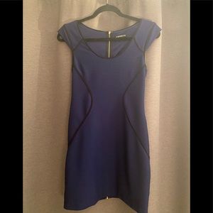 Express BodyCon Zip Dress